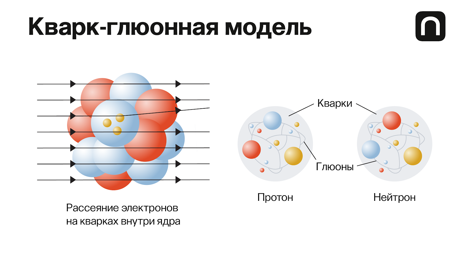 Общее и различие между протоном и нейтроном. Модель кварк глюонная плазма. Элементарные частицы кварки. Кварковая модель элементарных частиц. Строение ядра атома кварки.