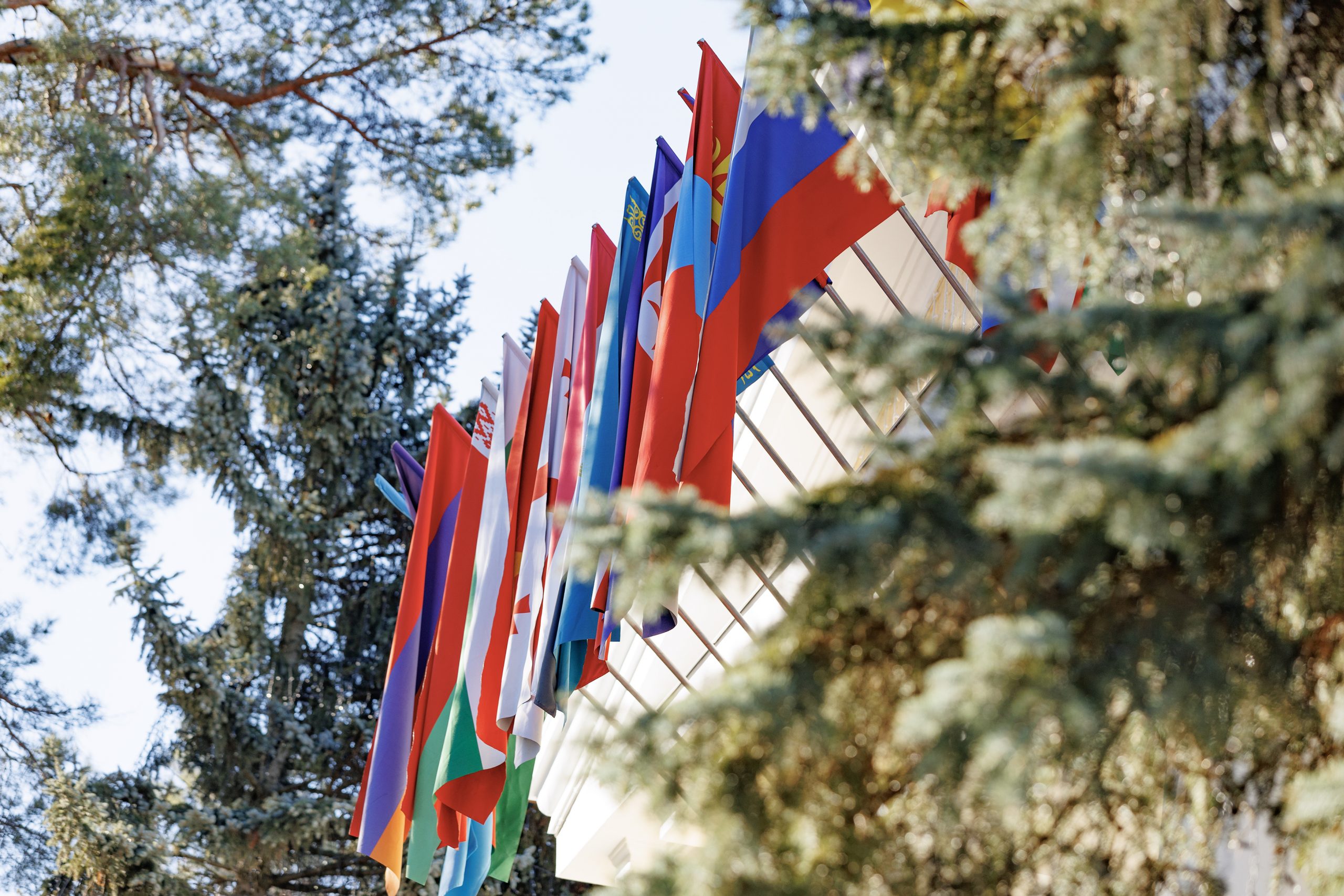 Member States and partners