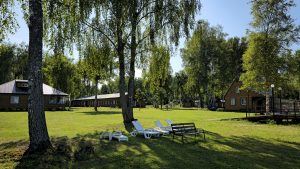 Anniversary Lipnya 2026 summer school invites applications